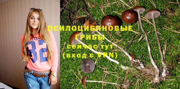 винт Магадан