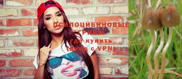 крисы Медногорск