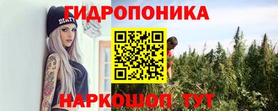 ГАЛЛЮЦИНОГЕННЫЕ ГРИБЫ Кимры